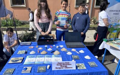 Festival zavičajnosti u Labinu